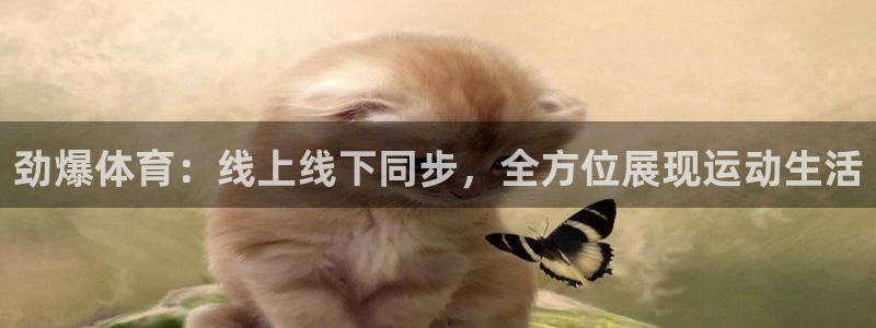 劲爆体育：线上线下同步，全方位展现运动生活