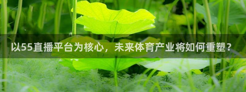 以55直播平台为核心，未来体育产业将如何重塑？