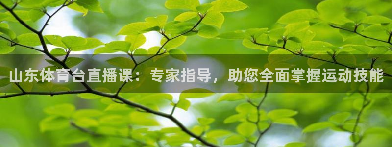 山东体育台直播课：专家指导，助您全面掌握运动技能