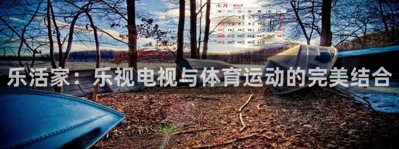 乐活家：乐视电视与体育运动的完美结合